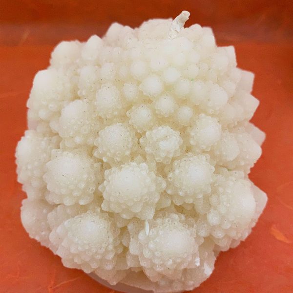Romanesco Broccoli beeswax candle