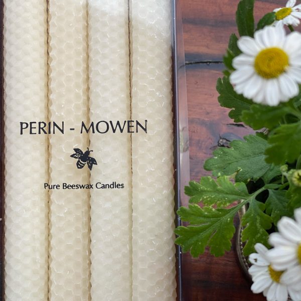 Solid 12" dinner candles 4 in a box